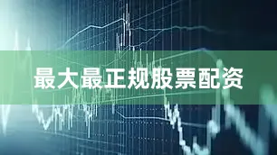 最大最正规股票配资