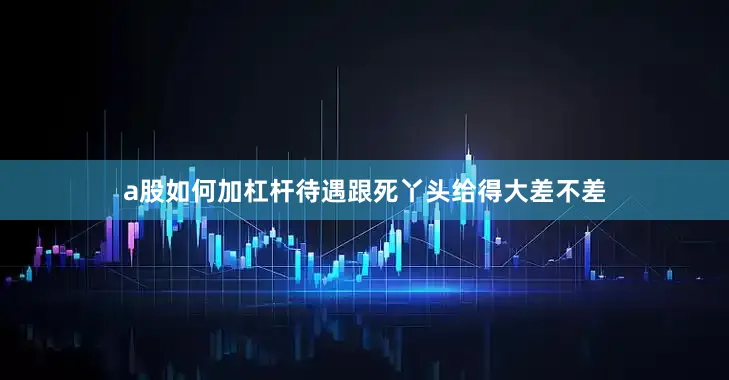 a股如何加杠杆待遇跟死丫头给得大差不差