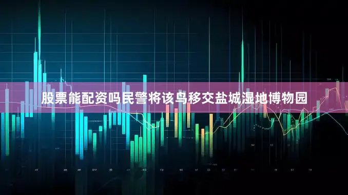 股票能配资吗民警将该鸟移交盐城湿地博物园