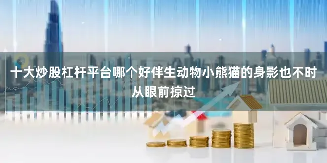 十大炒股杠杆平台哪个好伴生动物小熊猫的身影也不时从眼前掠过