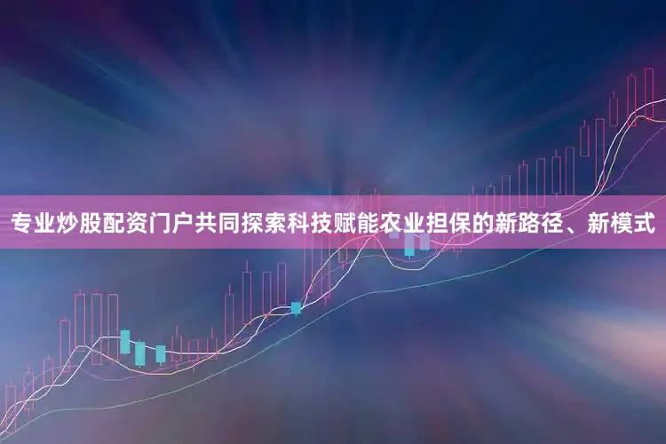 专业炒股配资门户共同探索科技赋能农业担保的新路径、新模式
