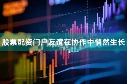 股票配资门户友谊在协作中悄然生长