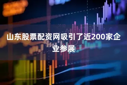 山东股票配资网吸引了近200家企业参展
