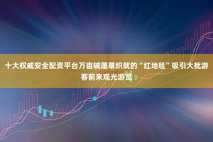 十大权威安全配资平台万亩碱蓬草织就的“红地毯”吸引大批游客前来观光游览